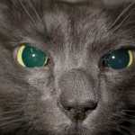 Wide eyed!